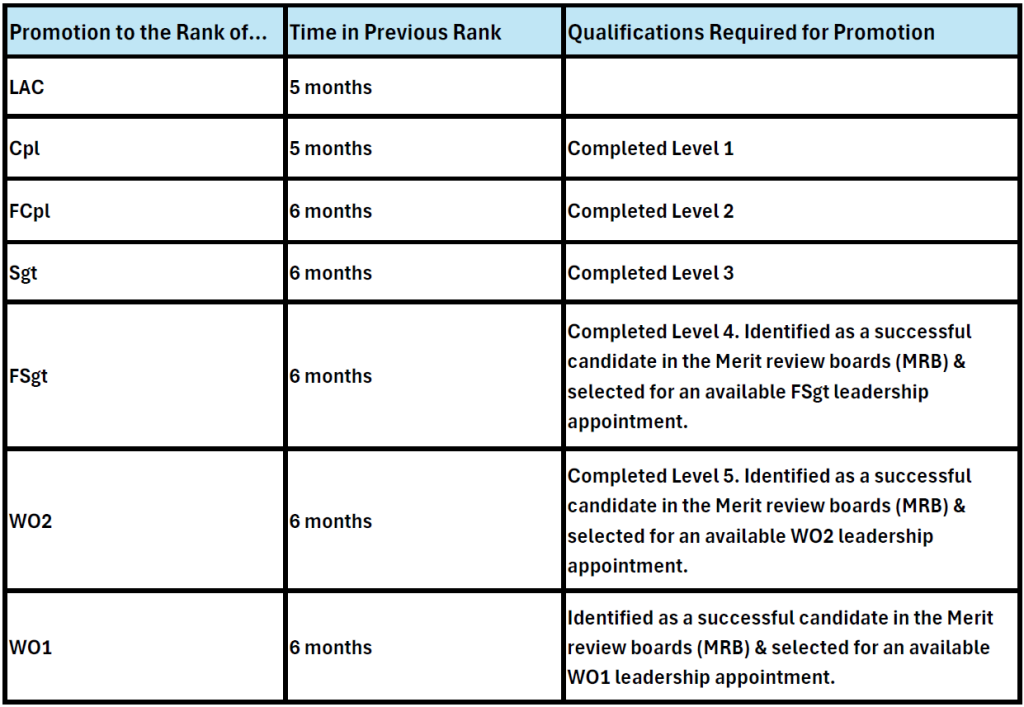 Promotion Criteria Table